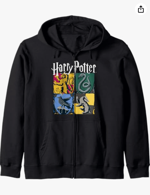 Harry Potter Hogwarts House Box Up Zip Hoodie 