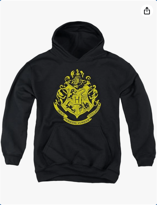Trevco Harry Potter Hogwarts Crest Unisex Youth Pull-Over Hoodie
