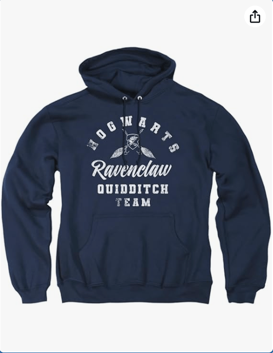 Popfunk Harry Potter Ravenclaw Quidditch Adult Pull-Over Hoodie
