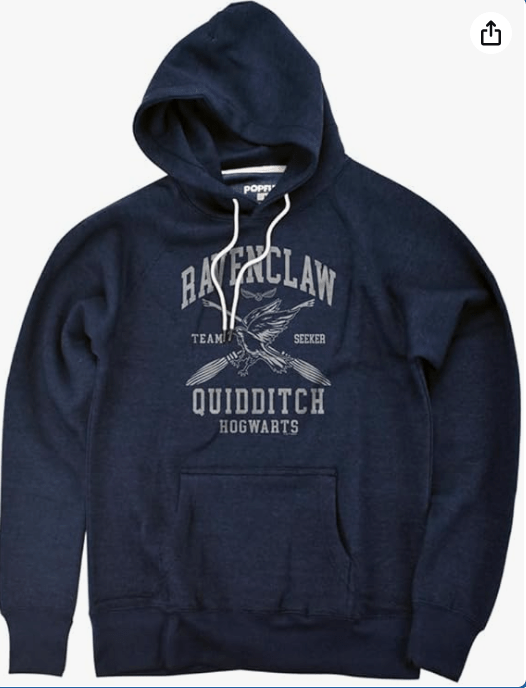 Popfunk Harry Potter Ravenclaw Quidditch Arch Unisex Adult Slim Fit Pull-Over Heather Hoodie
