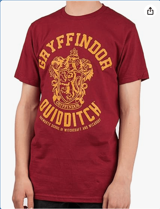 Harry Potter Gryffindor Quidditch Adult T-Shirt Red
