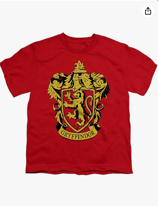 Popfunk Harry Potter Gryffindor Logo Hogwarts Youth/Big Kids 7+ Years Unisex Boy Girl Short Sleeve Graphic T-Shirt(Medium) Red
