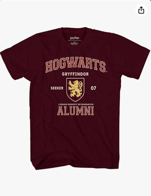 Harry Potter Gryffindor Slytherin Ravenclaw Hufflepuff Alumni Seeker Team Adult T-Shirt
