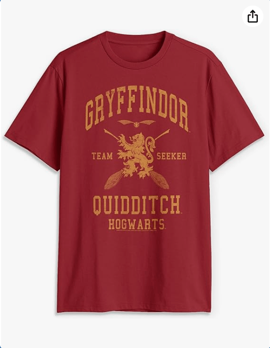 Harry Potter Gryffindor Slytherin Ravenclaw Hufflepuff Quidditch Team Adult T-Shirt

