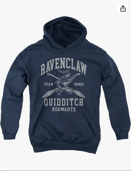 Harry Potter Hogwarts Houses Quidditch Team Youth Kids Boy/Girls Pull-Over Hoodie
