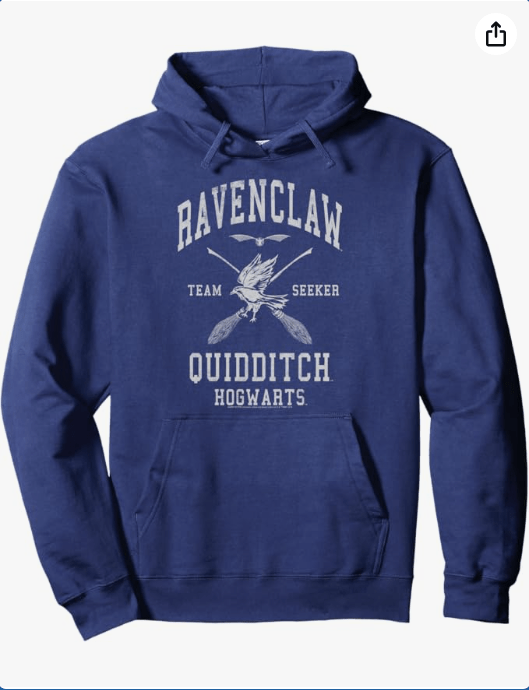 Harry Potter Ravenclaw Team Seeker Hogwarts Quidditch Pullover Hoodie 