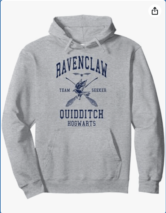Harry Potter Ravenclaw Quidditch Team Seeker Collegiate Pullover Hoodie 