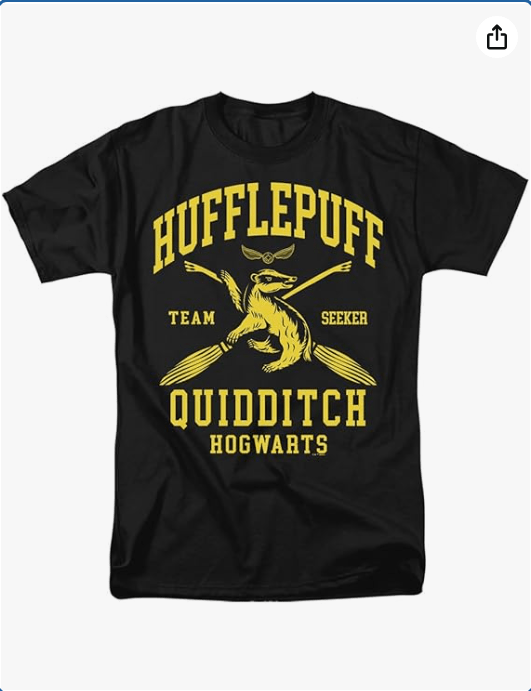 Harry Potter Hogwarts Houses Quidditch Team Unisex Adult T Shirt 