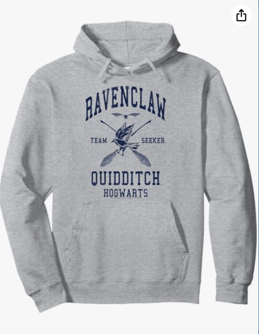 Harry Potter Ravenclaw Quidditch Team Seeker Collegiate Pullover Hoodie
