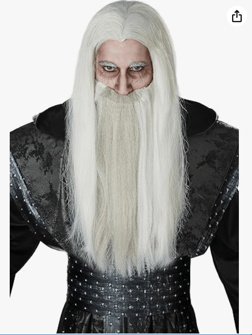 California Costumes Adult Dark Wizard Wig and Beard Set Standard Gray

