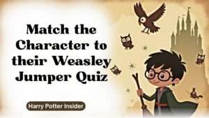 Match the Character to their Weasley Jumper Quiz