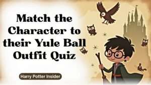 Match the Character to their Yule Ball Outfit Quiz