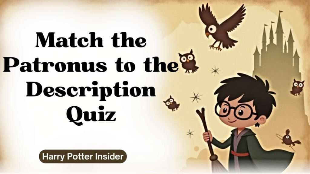 Match the Patronus to the Description