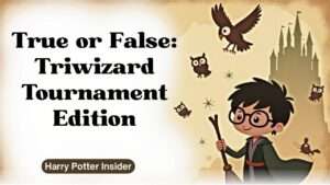 True or False: Triwizard Tournament Edition