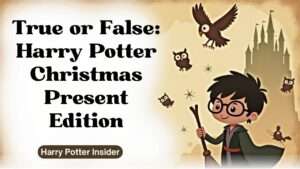True or False: Harry Potter Christmas Present Edition