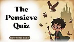 The Pensieve Quiz