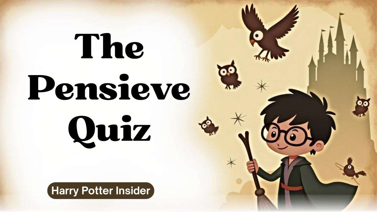 The Pensieve Quiz: Test Your Harry Potter Memory
