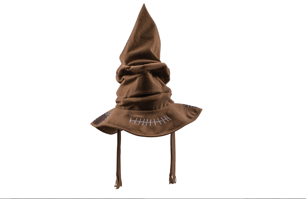 Disguise Harry Potter Sorting Hat for Kids, Official Harry Potter Costume Accessory, Childrens Size 