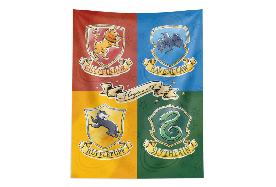Northwest Harry Potter Tapestry, Hogwarts Wall Hanging Poster, Official Warner Bros Birthday Banner Backdrop, 40x57 Inch