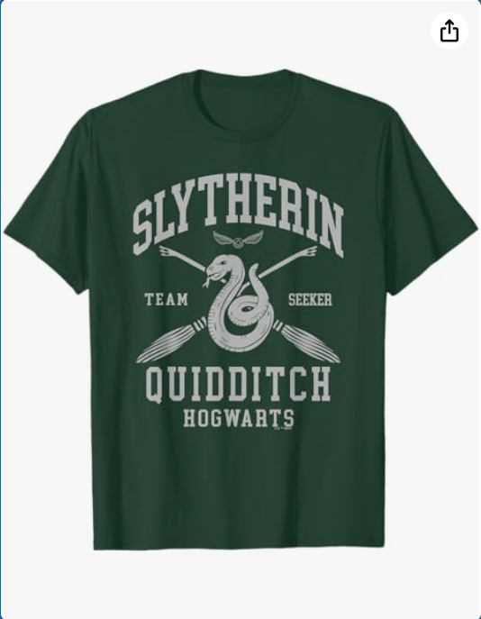 Harry Potter Slytherin Quidditch Arch T-Shirt 