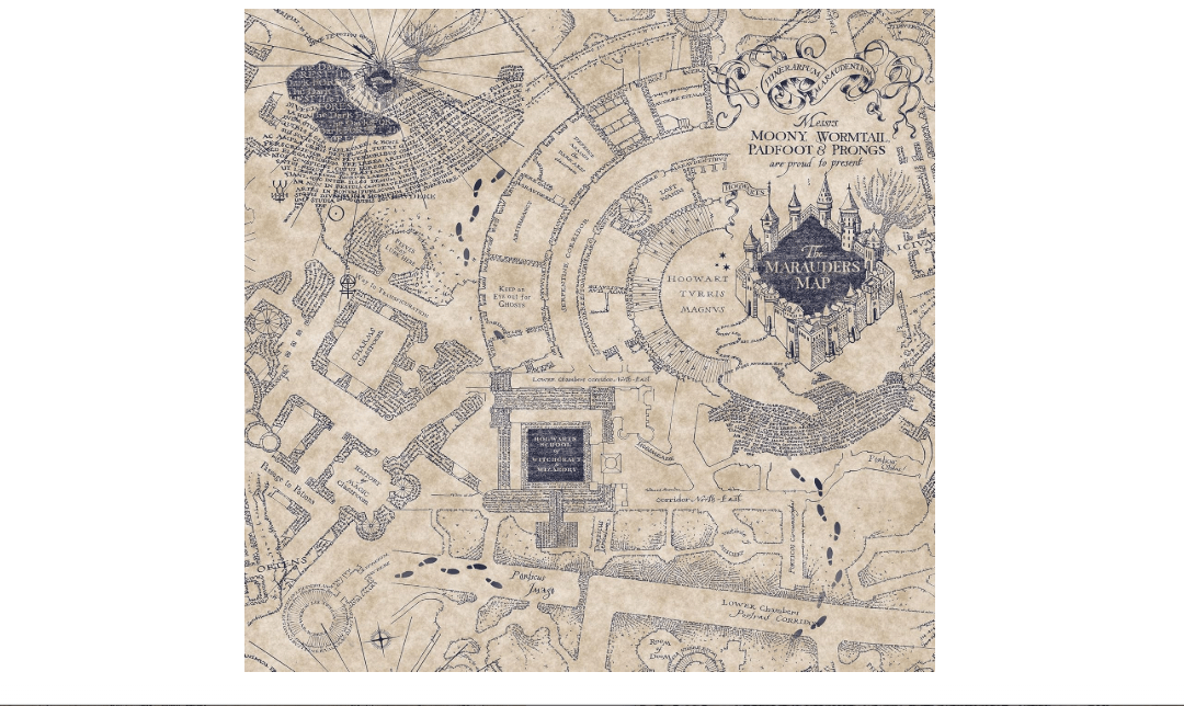 RoomMates RMK12436RL Blue Harry Potter Marauder's Map Peel and Stick Wallpaper 