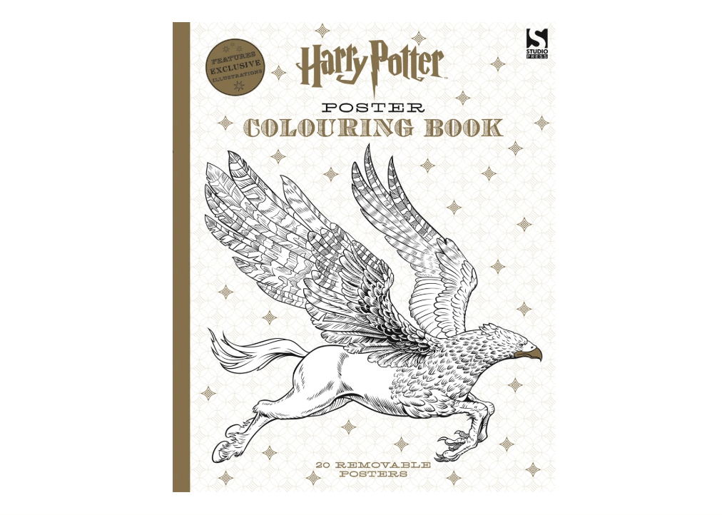 Harry Potter Poster Colouring Book