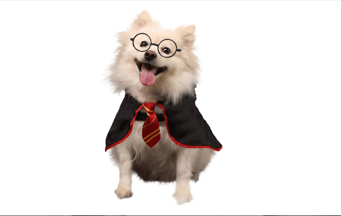 Coomour Halloween Dog Costume Pet Wizard Shirt Cat Soft Clothes for Dogs Cats Soft Hoodies with Glasses (Large,Red)
