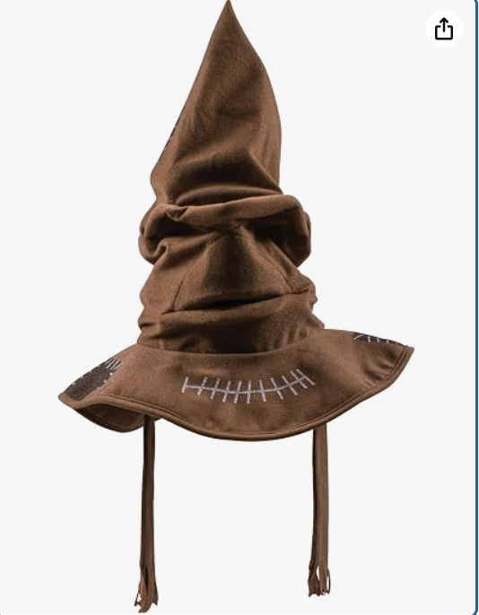 Disguise Harry Potter Sorting Hat for Kids, Official Harry Potter Costume Accessory, Childrens Size 